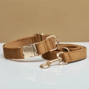 Conjunto Yuchi