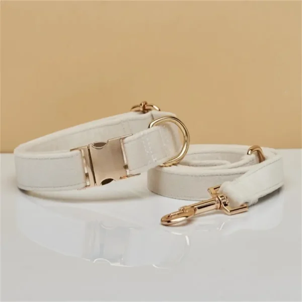 Conjunto Yuchi