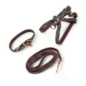 Conjunto Nongatl