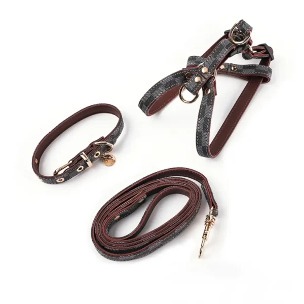 Conjunto Nongatl