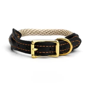 Collar Ohio