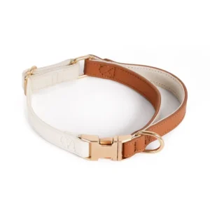 Conjunto Miwok