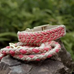 Conjunto Patwin