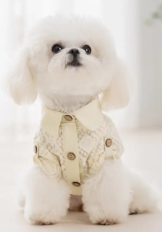 Camisa de Encaje Beige para Perritos