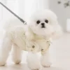 Camisa de Encaje Beige para Perritos