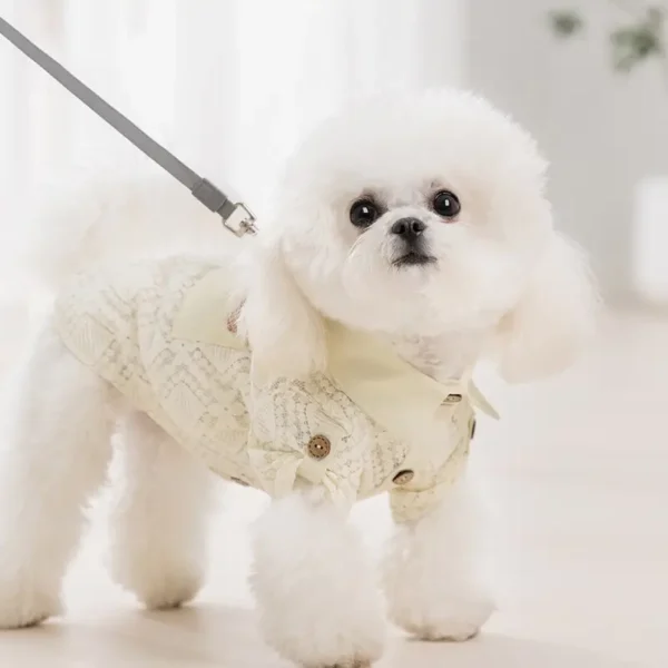 Camisa de Encaje Beige para Perritos