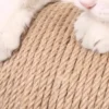 Bola Rascador para Gatos