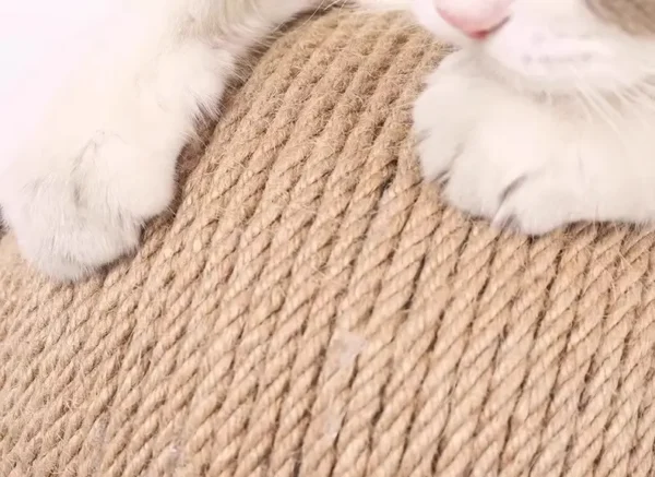 Bola Rascador para Gatos